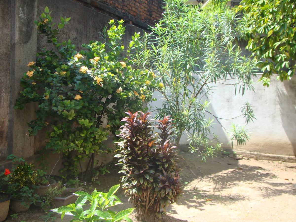 Moragalla Dilu Villa Beruwala Extérieur photo