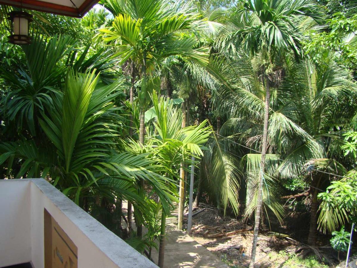 Moragalla Dilu Villa Beruwala Extérieur photo